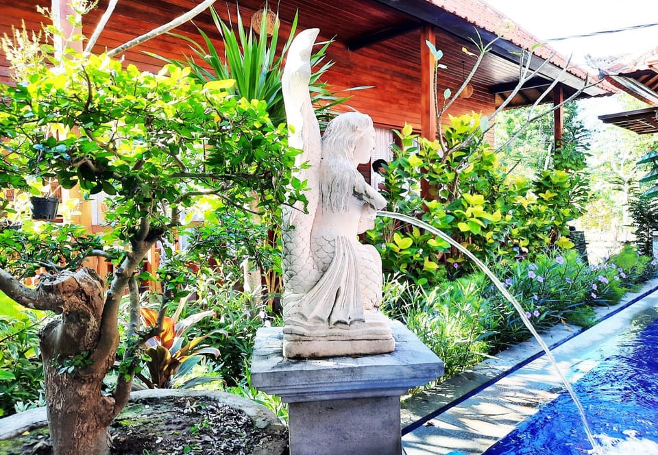 Garden, Garden, Garden view, Garden view