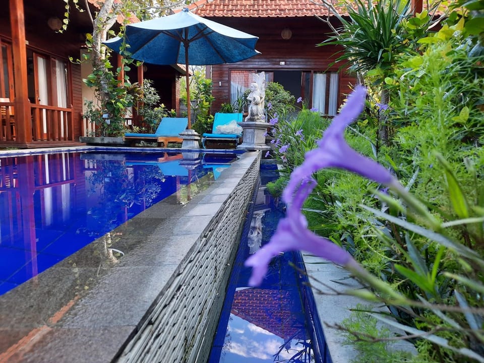 Pool view, Swimming pool
