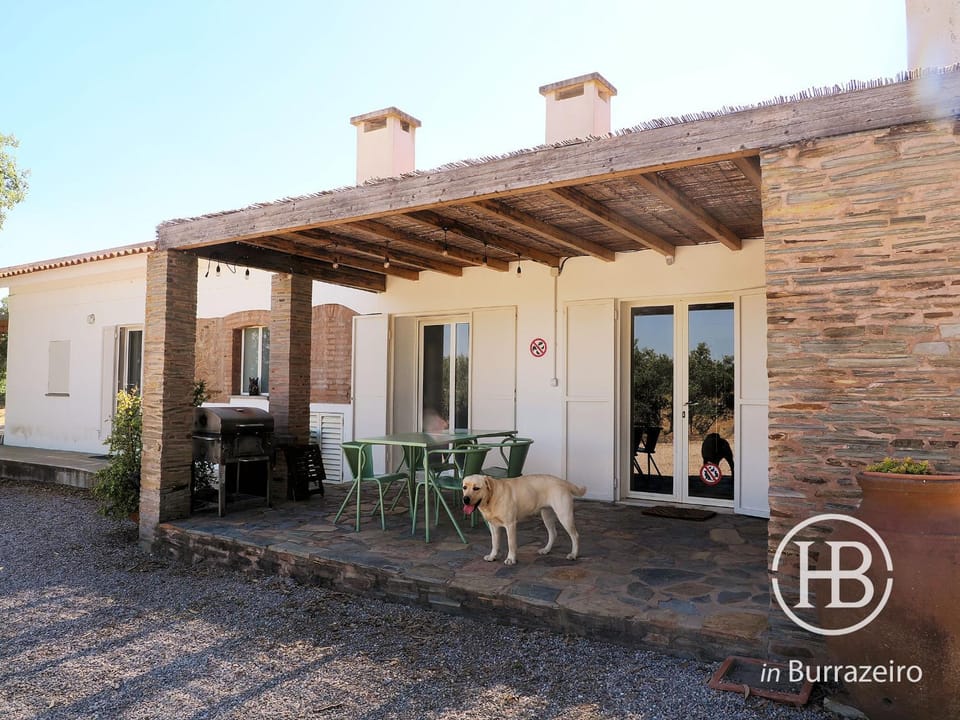 Property building, Patio