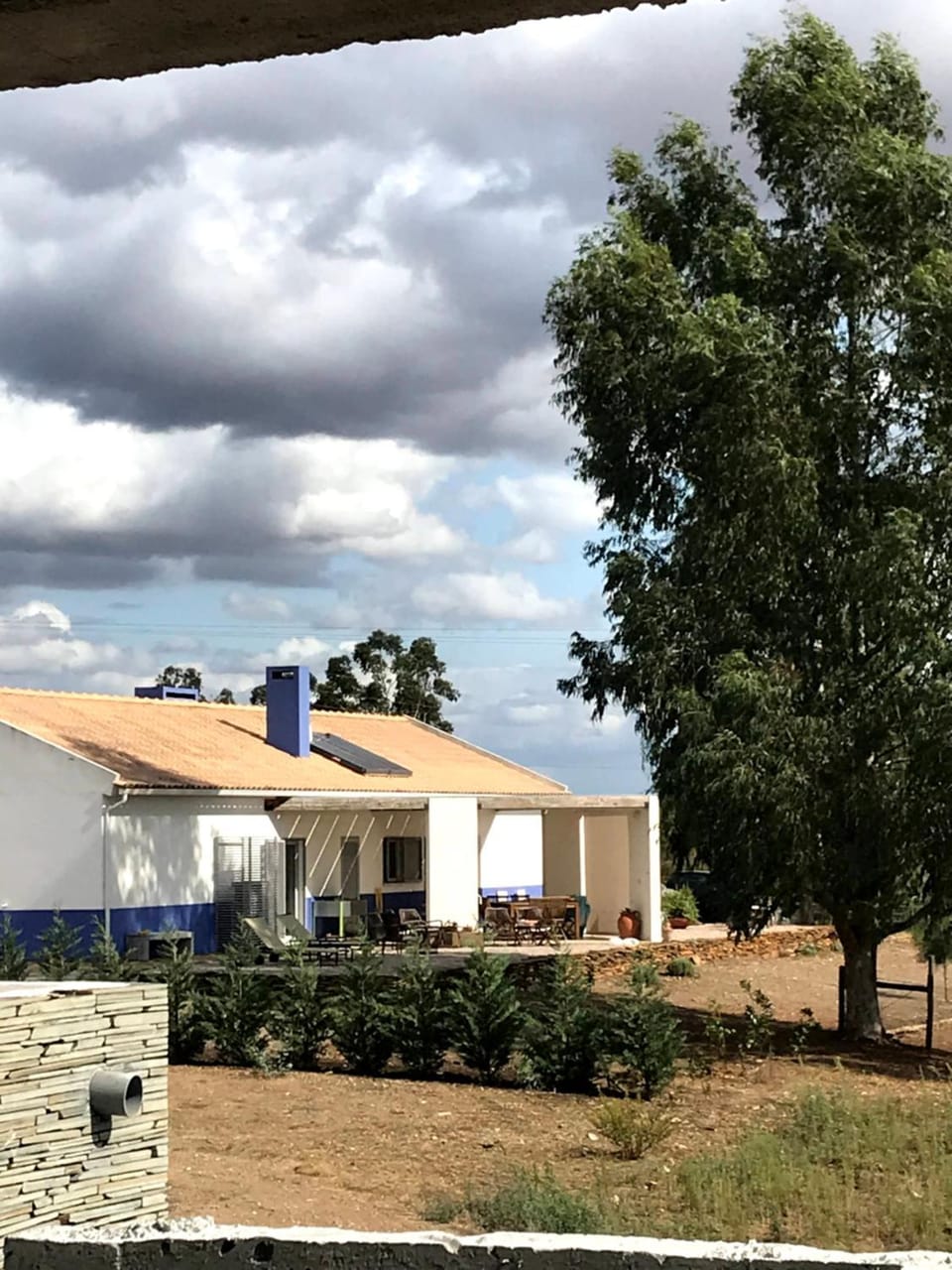Property building, Day, Garden