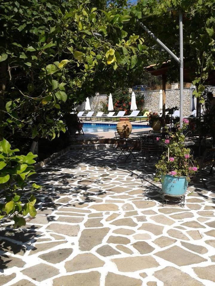 Patio, Day