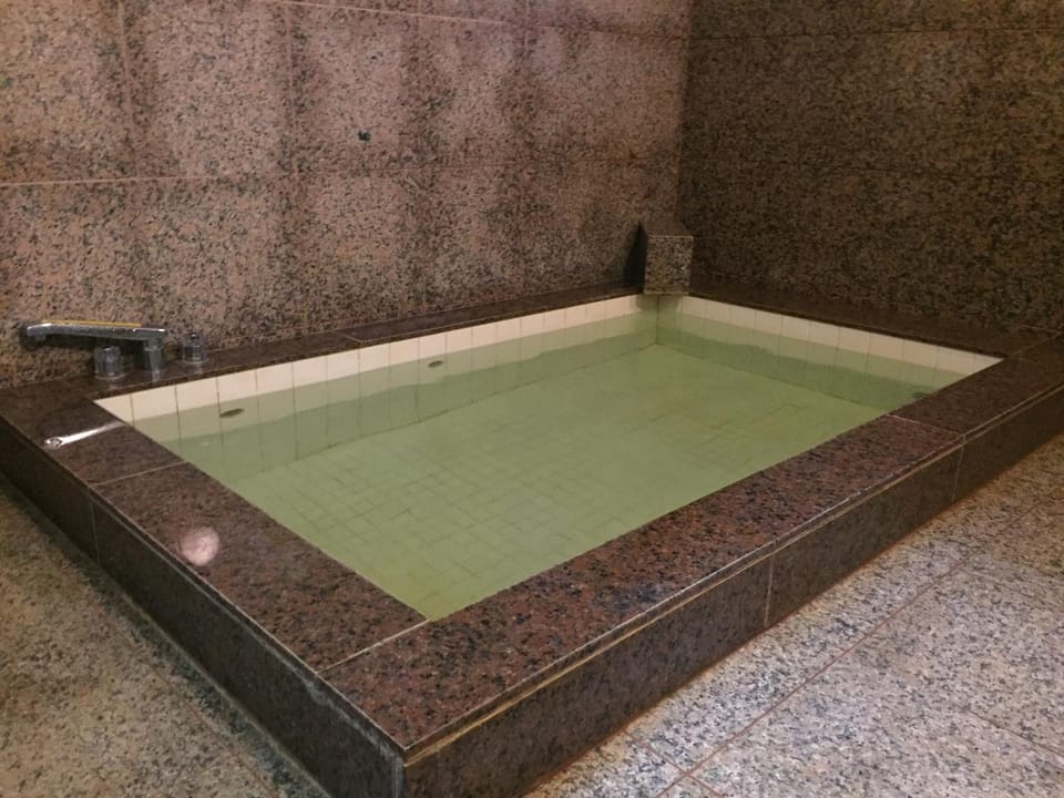 Tokiwa Ryokan Ryokan in Japan