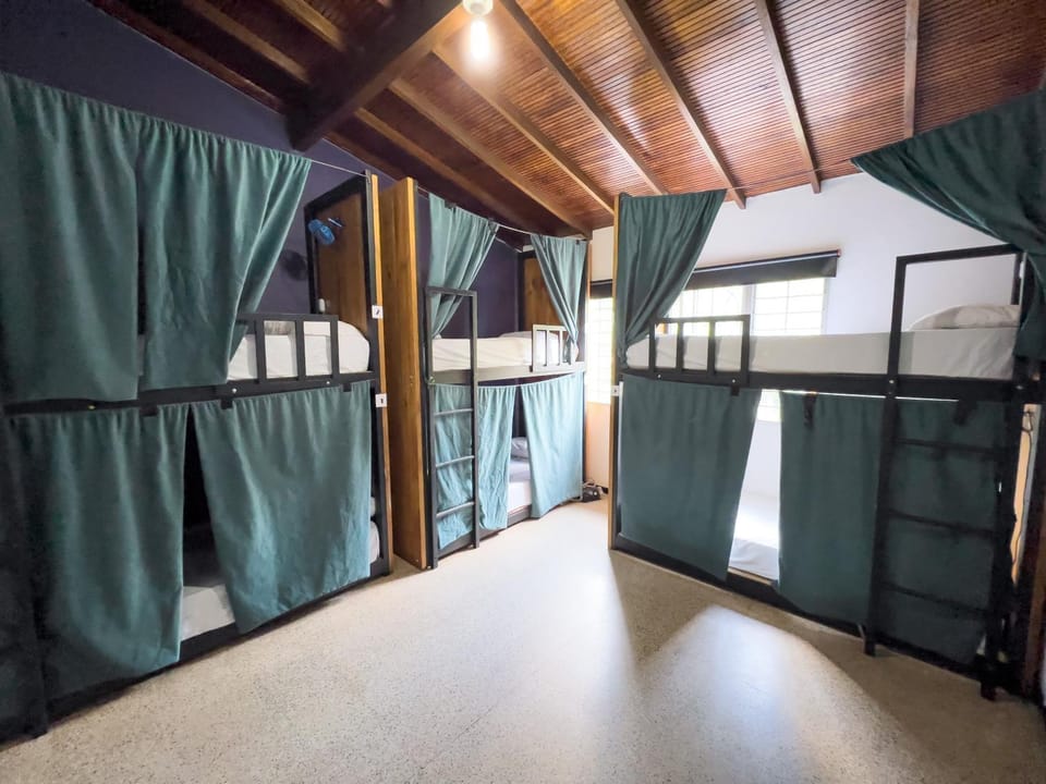 Bedroom, bunk bed