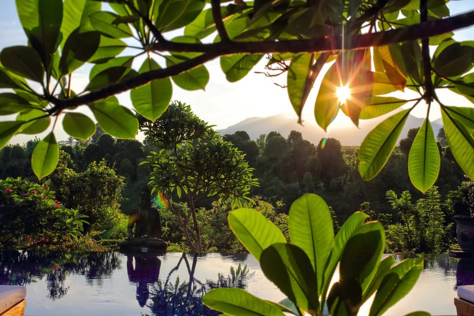 Natural landscape, Garden