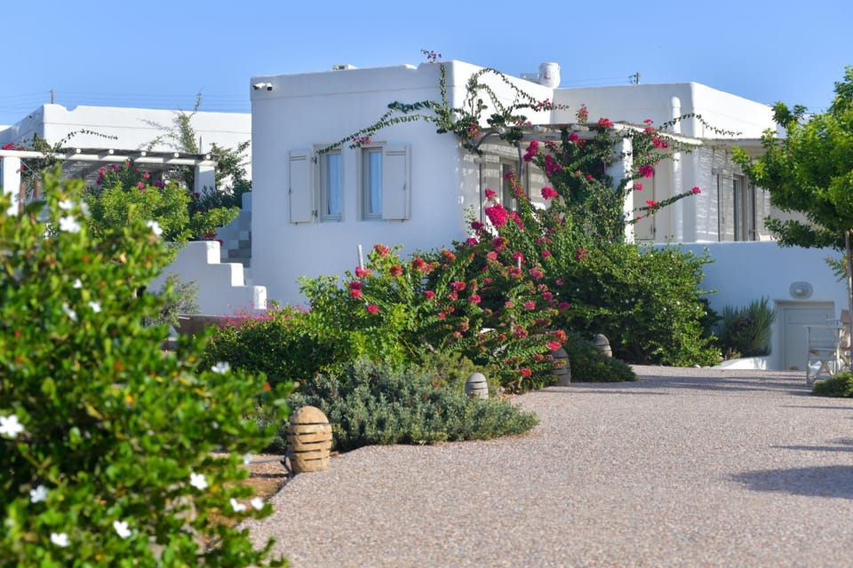 Property building, Spring, Day, Garden, Garden view, Street view