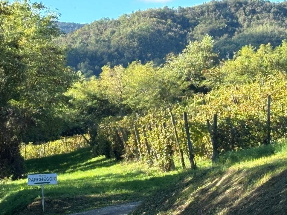 UvaMatta Farm Stay in Emilia-Romagna