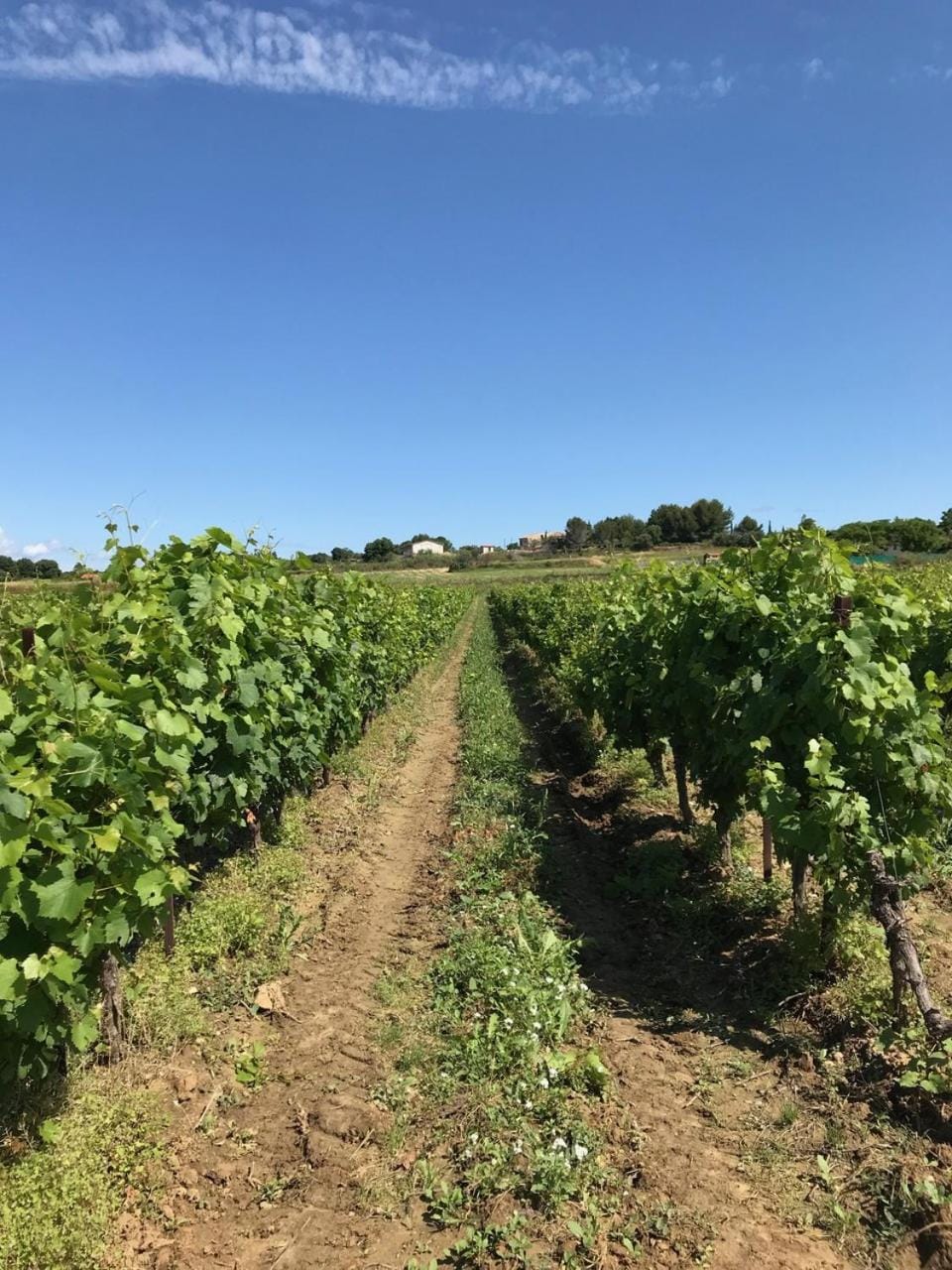 Domaine de Peilhan Bed and Breakfast in Occitanie