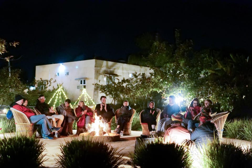 Night, People, group of guests