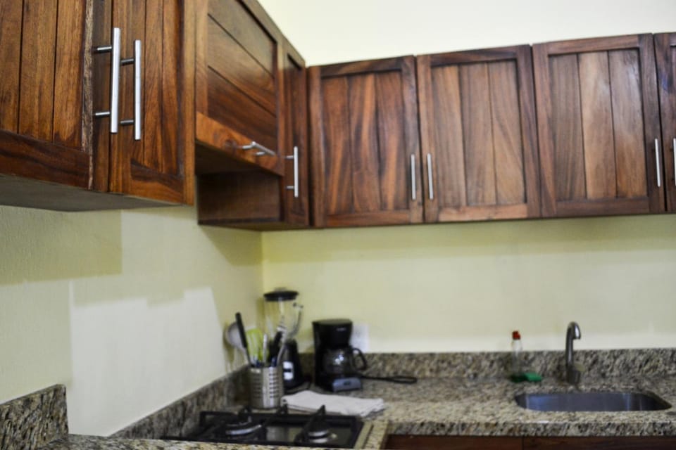 Verde Luna Apartment in San Francisco, Nayarit
