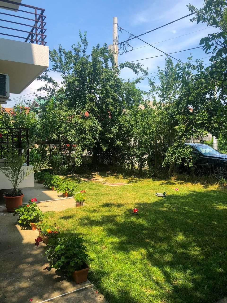 Garden, Sea view