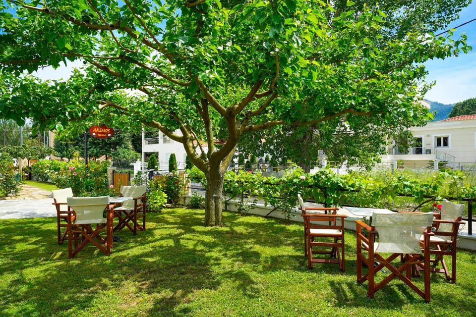 Studios Anemos Apartment hotel in Thasos