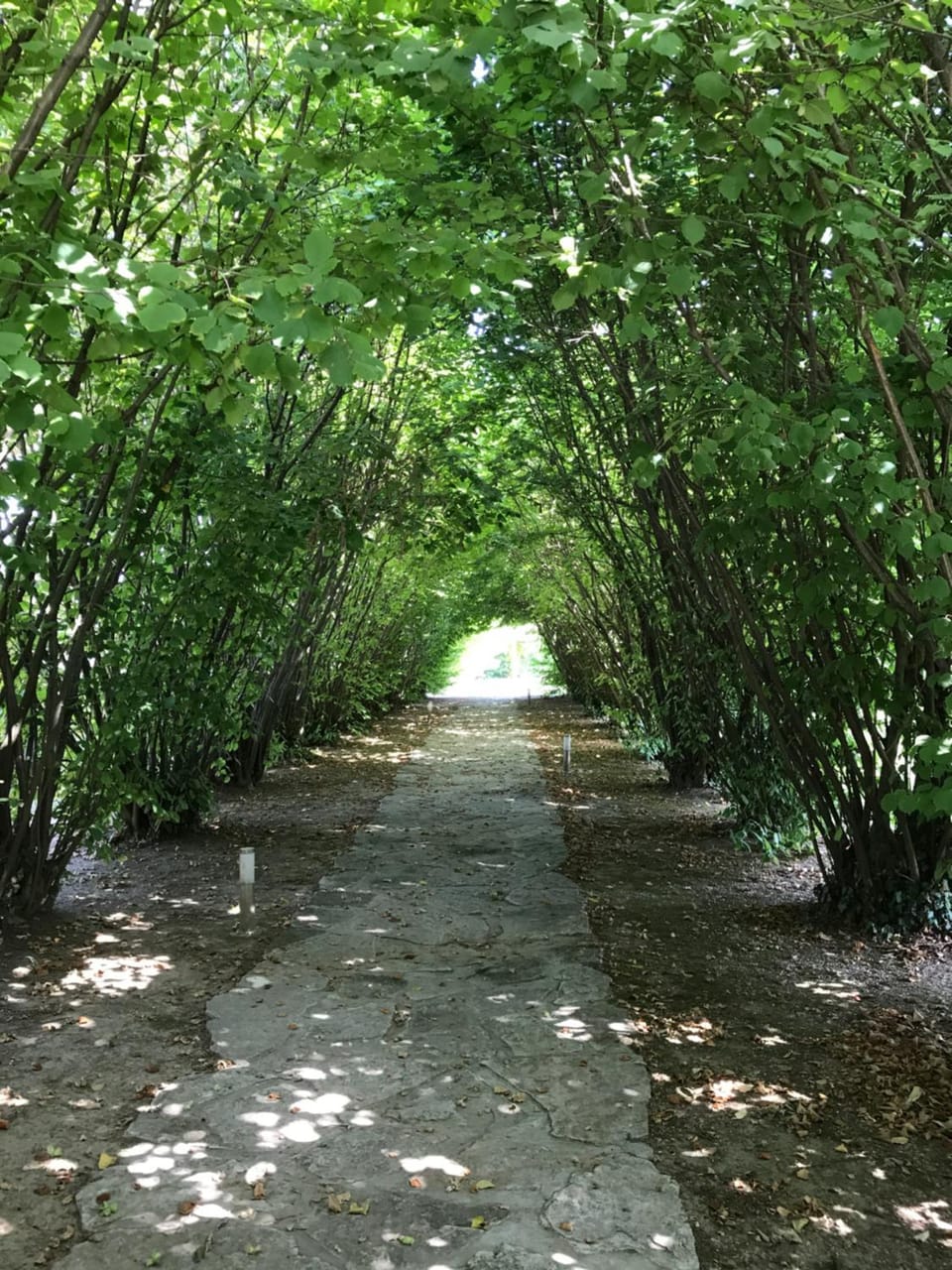 Ca' Borgo delle Rane Bed and Breakfast in Veneto