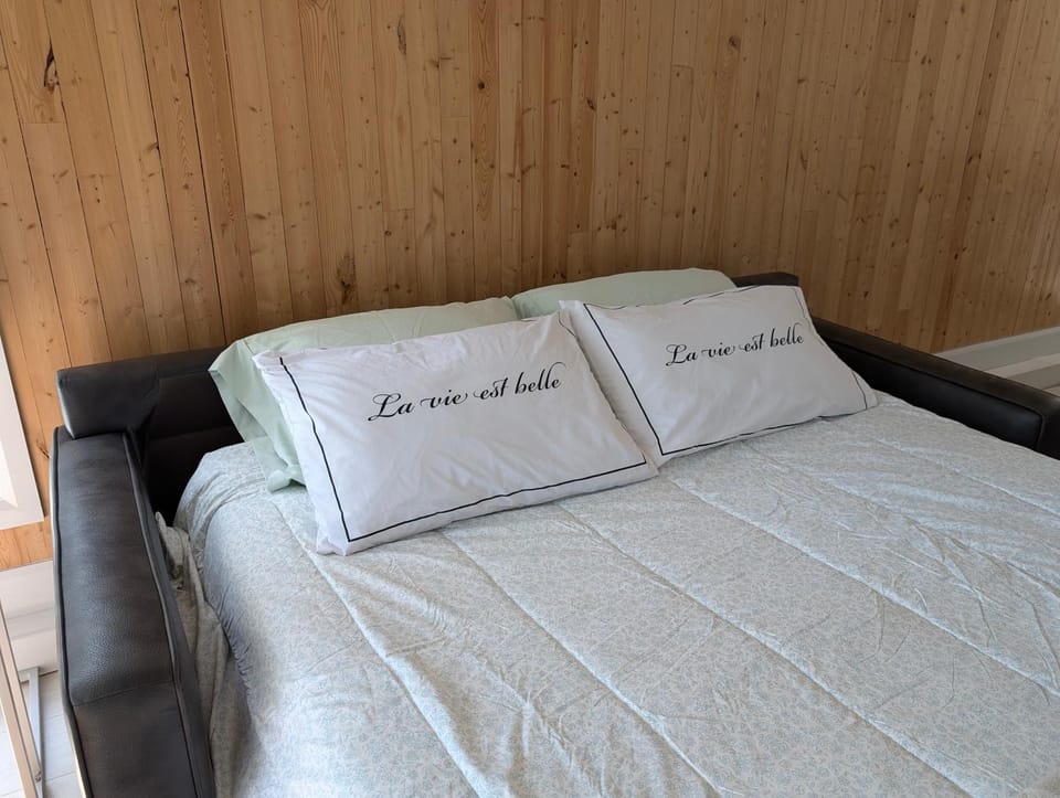 Bed, Living room, Bedroom