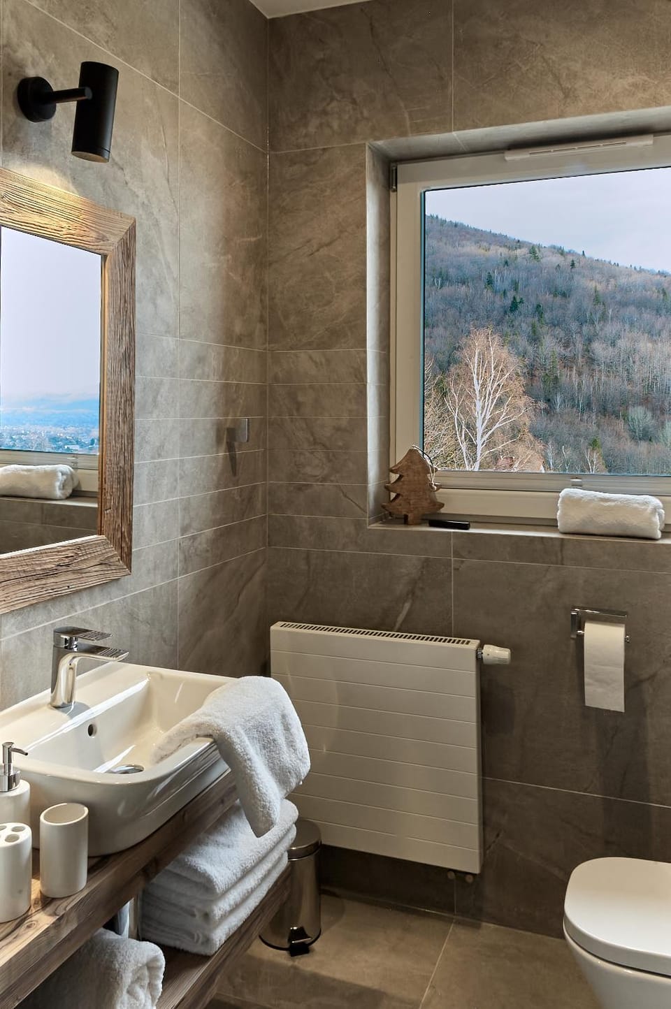 Bathroom, Mountain view