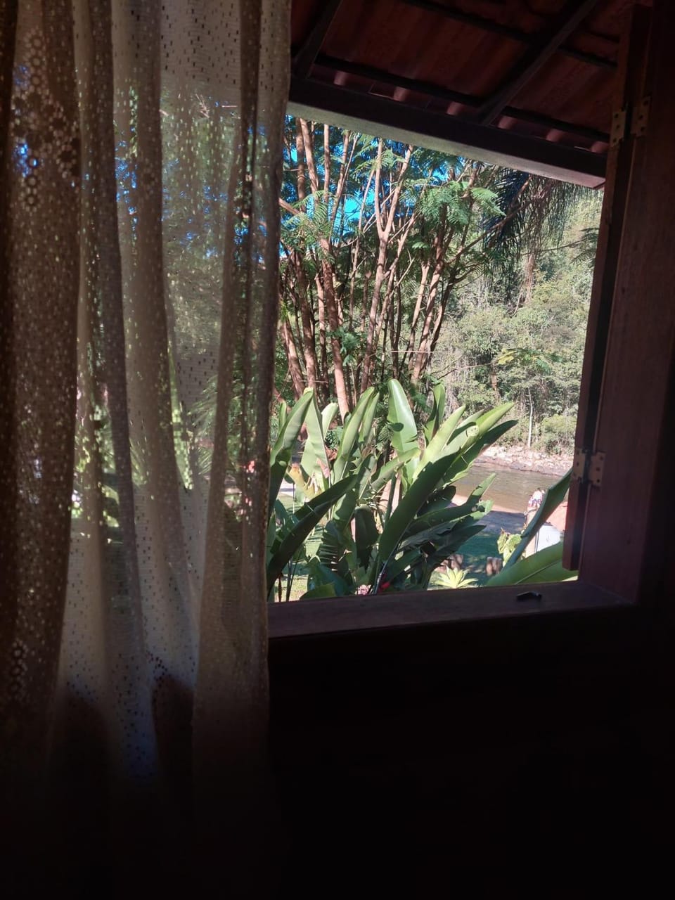 Natural landscape, Garden, Garden view