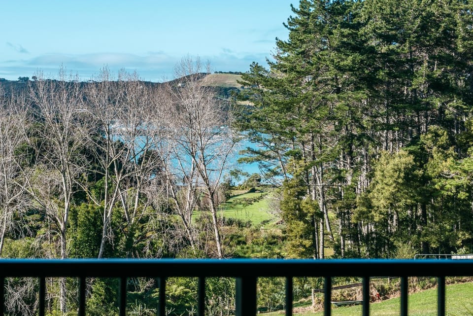 Putaki Bay - Kereru Villa - Be My Guest Waiheke House in Auckland Region