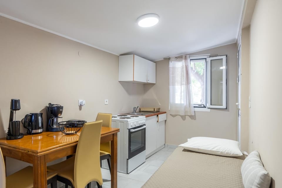 Synodinos Studios Apartment in Cephalonia