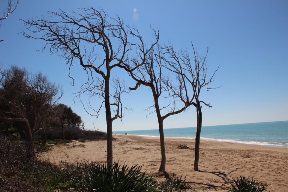 Nearby landmark, Day, Natural landscape, Summer, Beach, On site, Sea view