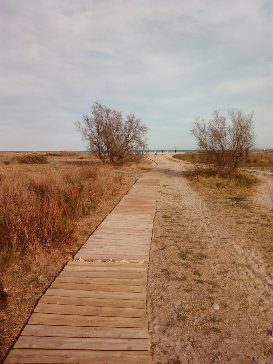 Natural landscape, Beach