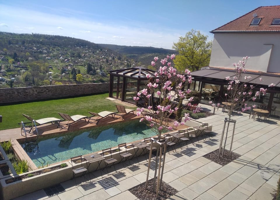 Penzion Kaplanka Bed and Breakfast in South Moravian Region
