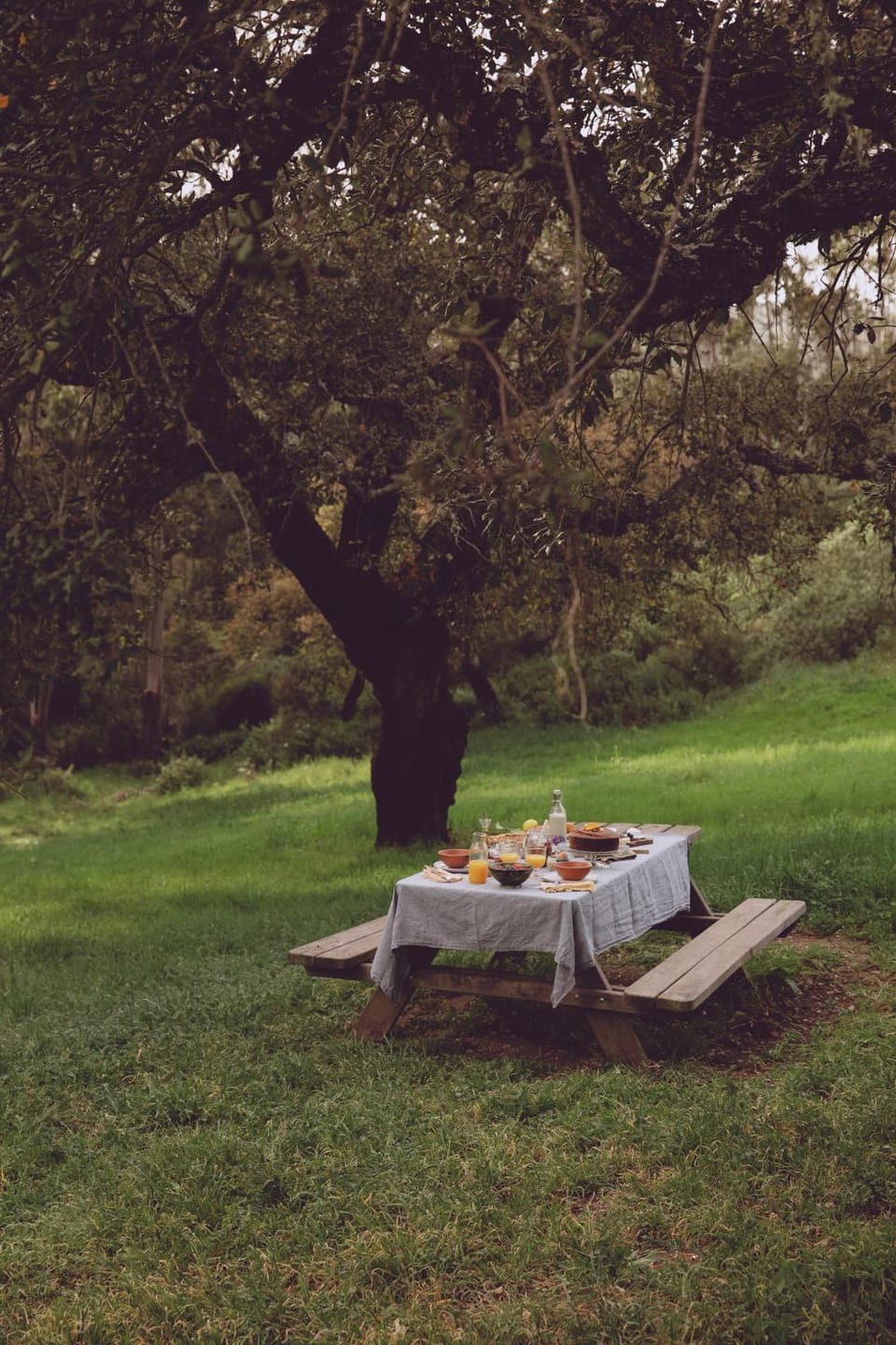 Day, Dining area, Garden view, Breakfast