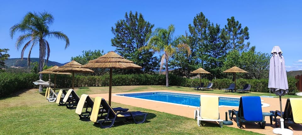 Day, Natural landscape, Garden, Pool view, Swimming pool, sunbed