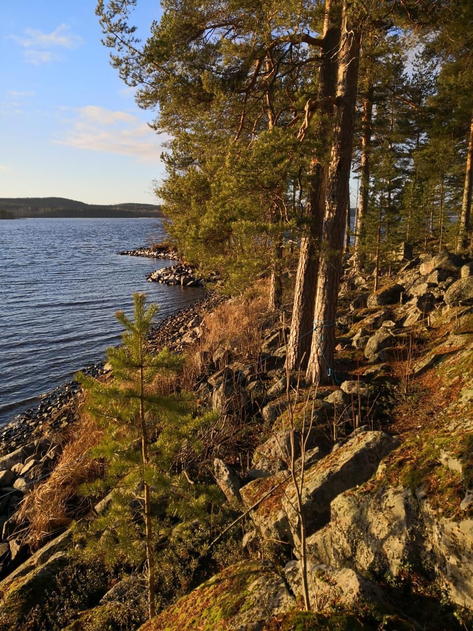 Day, Natural landscape
