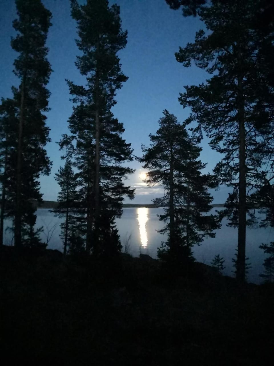 Natural landscape