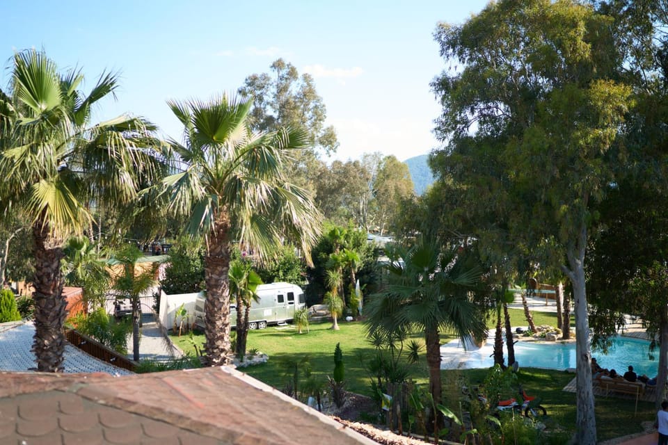 Day, Natural landscape, Garden view, Swimming pool