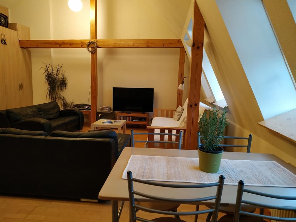 Sunlit Loft Apartment Riga Apartment in Riga