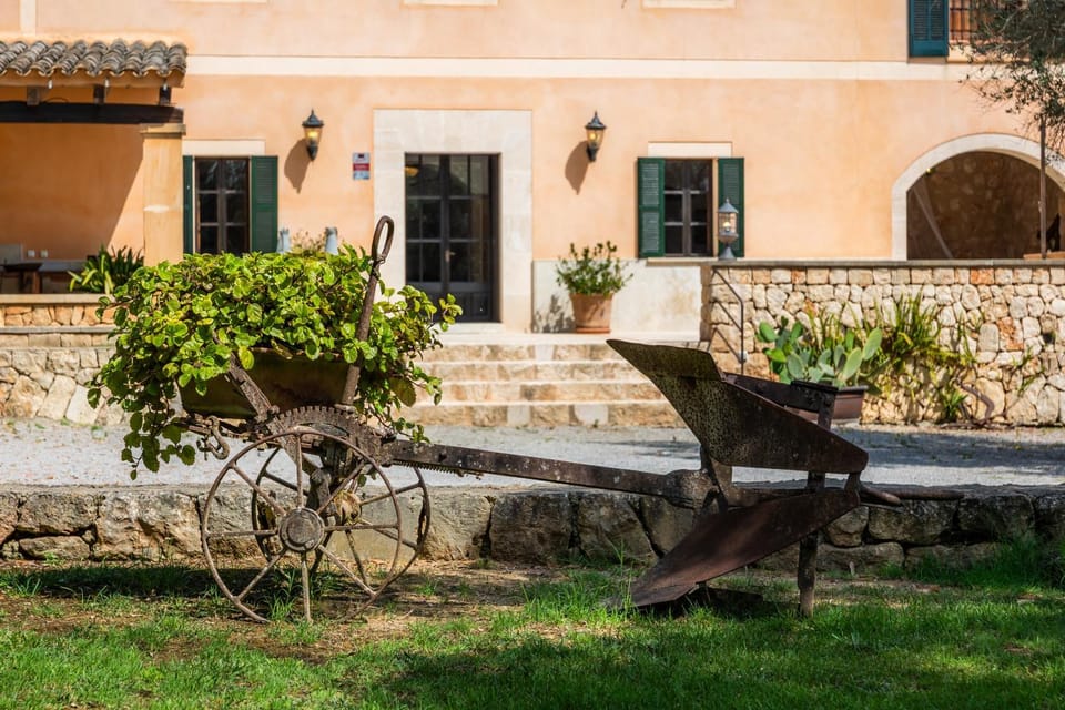 Spring, Garden, Garden view