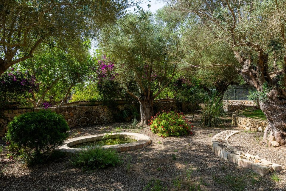 Natural landscape, Garden, Garden view