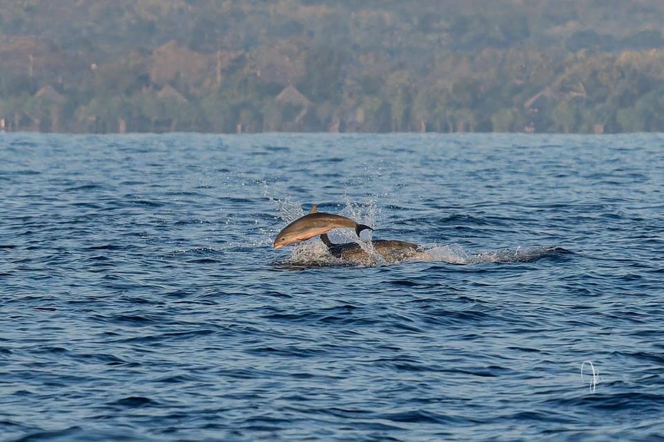 Badini Homestay Pemuteran Bali Bed and Breakfast in Bali