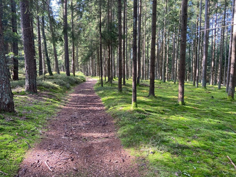 Hiking, Hiking