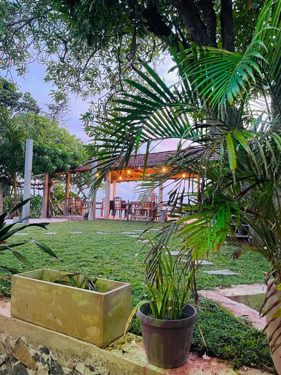 Garden view