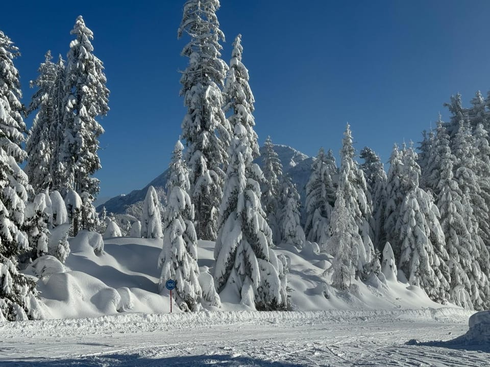 Natural landscape, Winter
