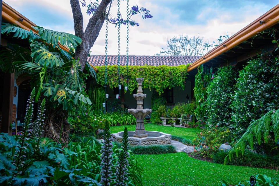Garden