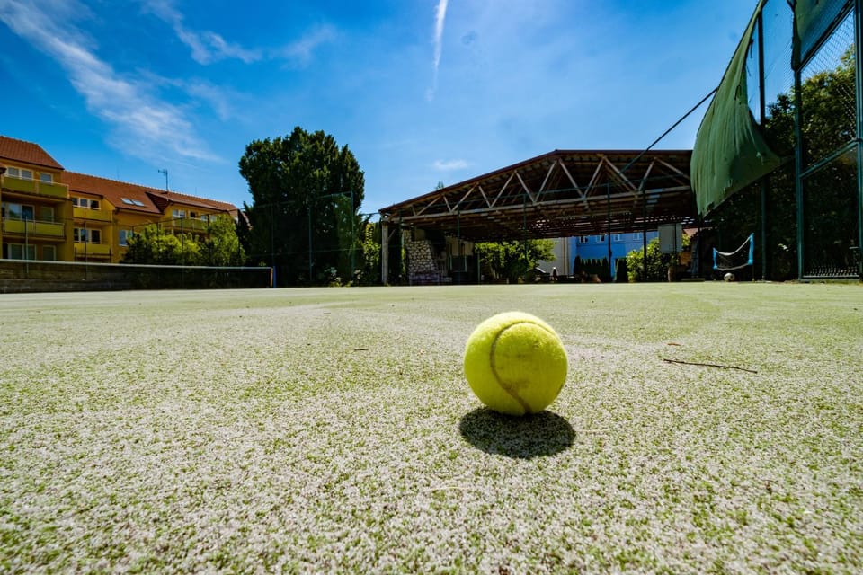 Tennis court