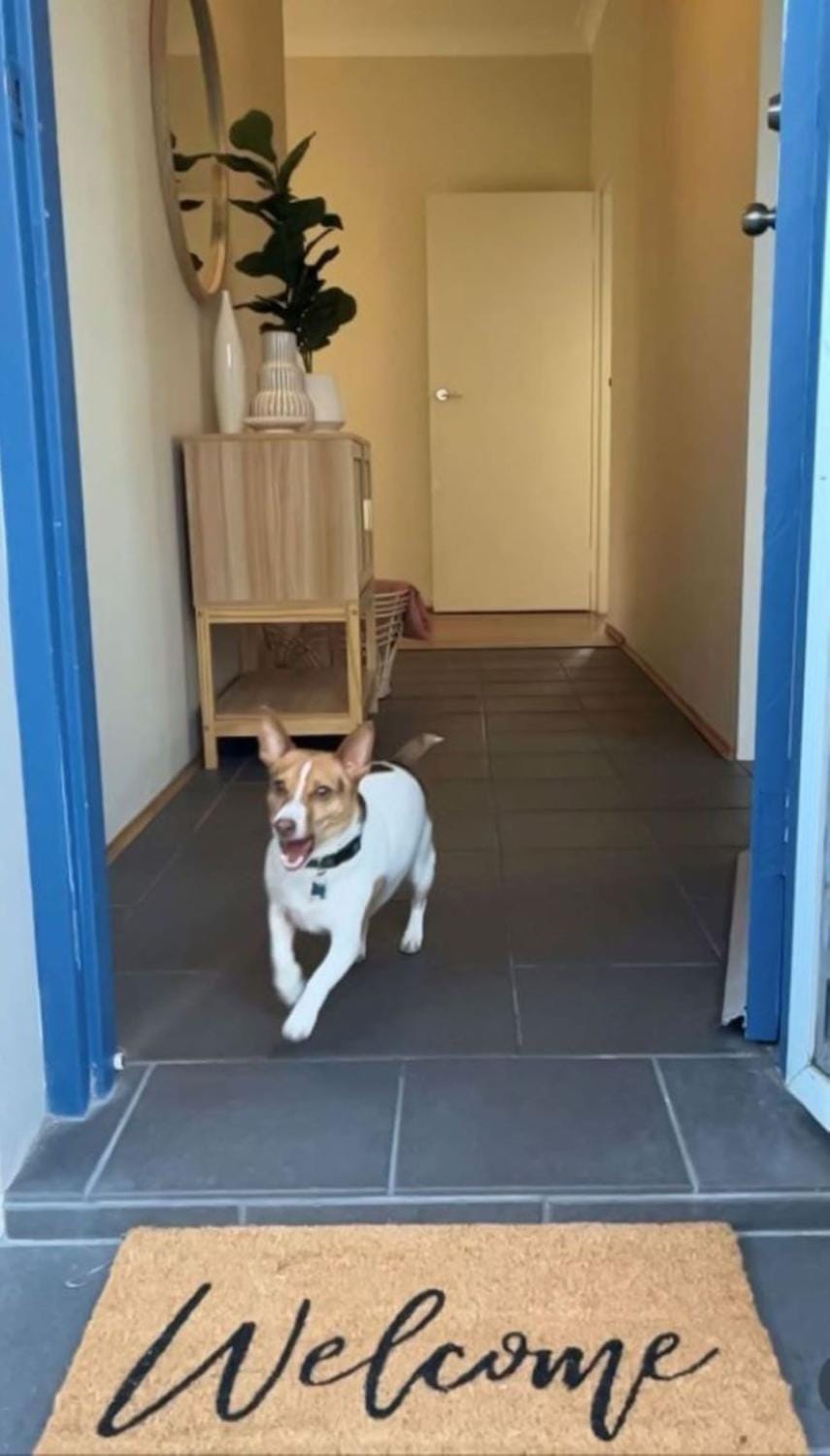 Banyan, 14 Montevideo Parade - Spacious pet friendly property with air con and WiFi House in Nelson Bay