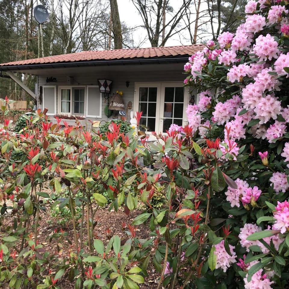 Chalet 2Relax Free Wifi Netflix Chalet in Flanders