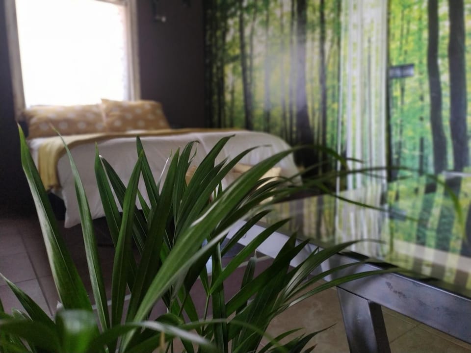 La Palma Wild Life House in La Palma