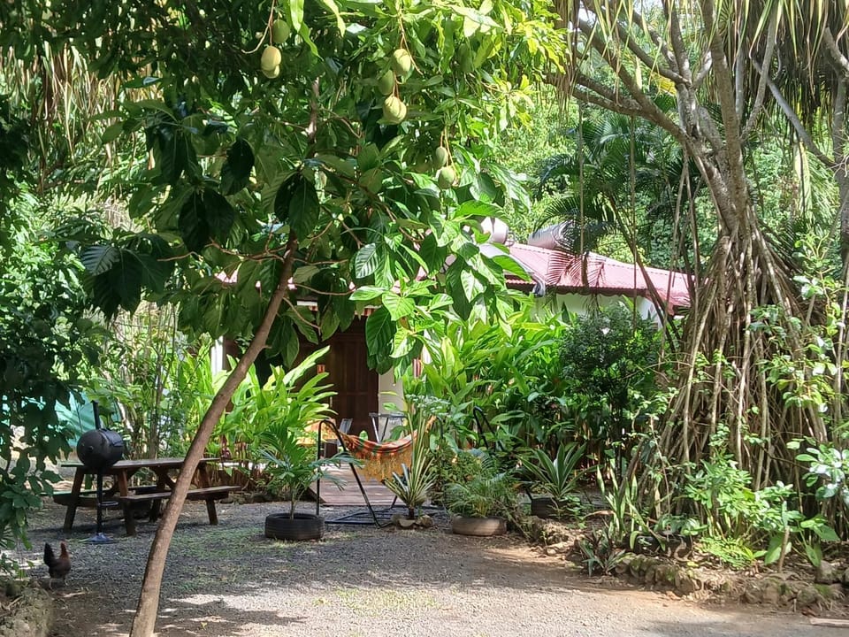 Natural landscape, Garden view