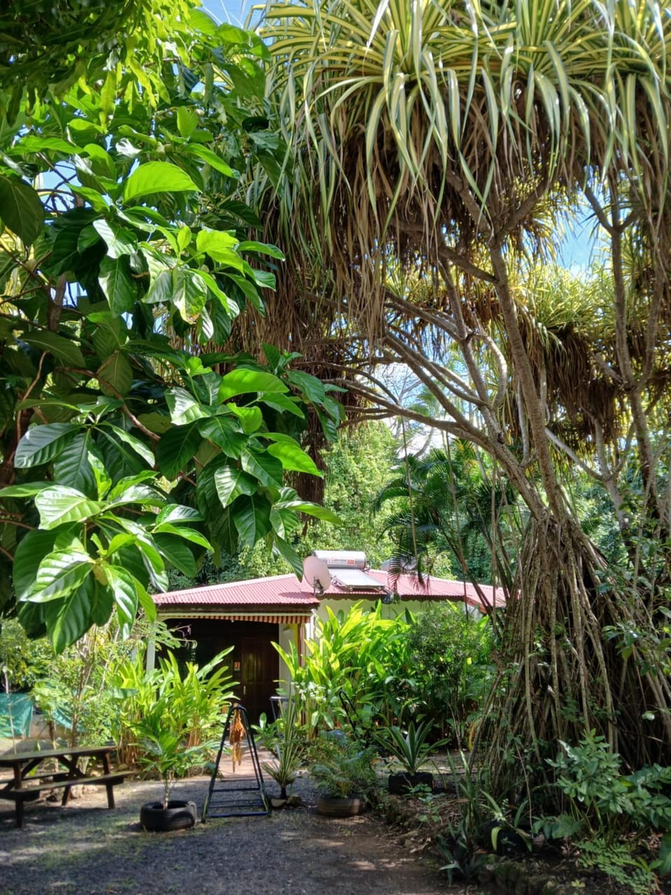Natural landscape, Garden