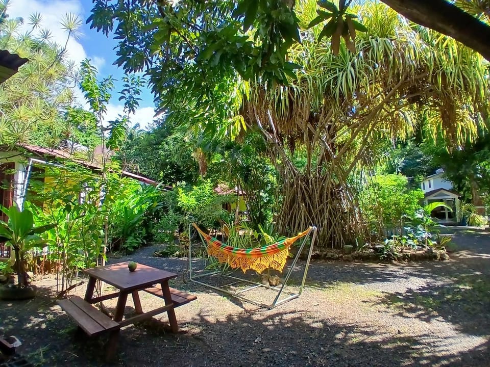 Day, Natural landscape, Garden, Garden view