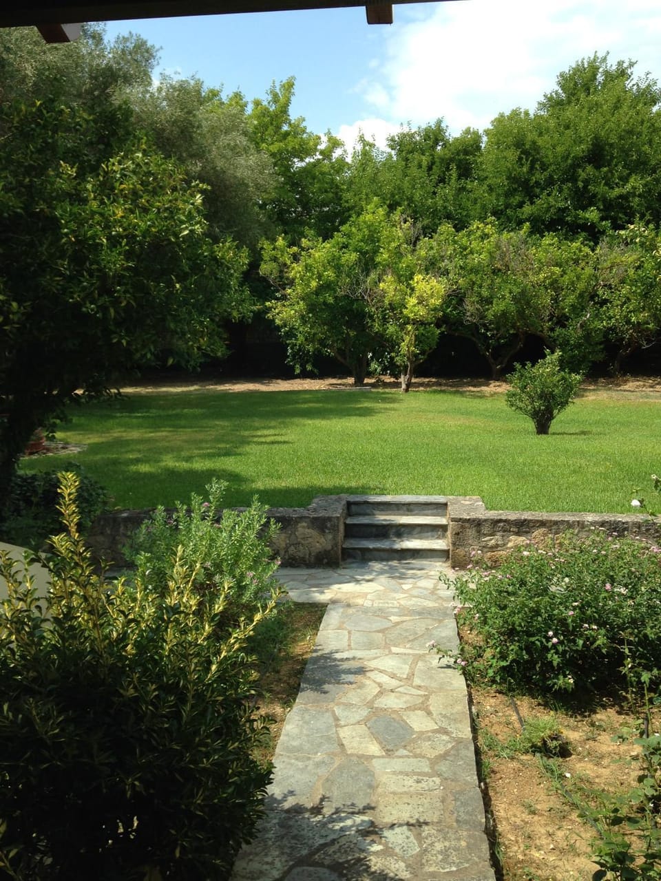 Natural landscape
