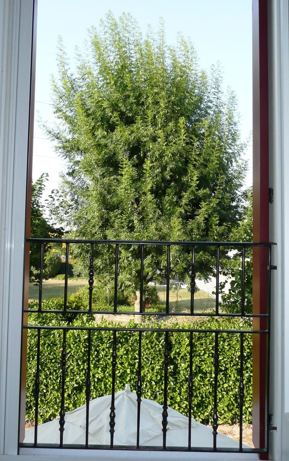 Agriturismo Campoverde Country House in Dolo