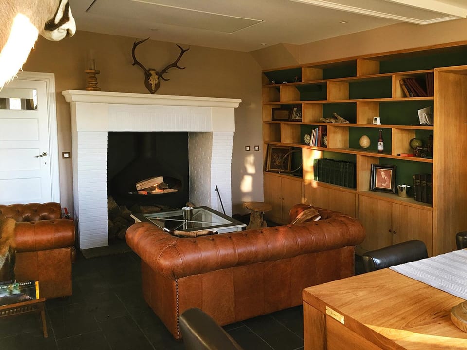 Library, Living room, Decorative detail, Seating area