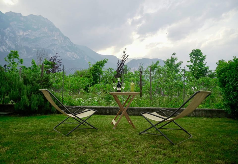 Garden, Mountain view