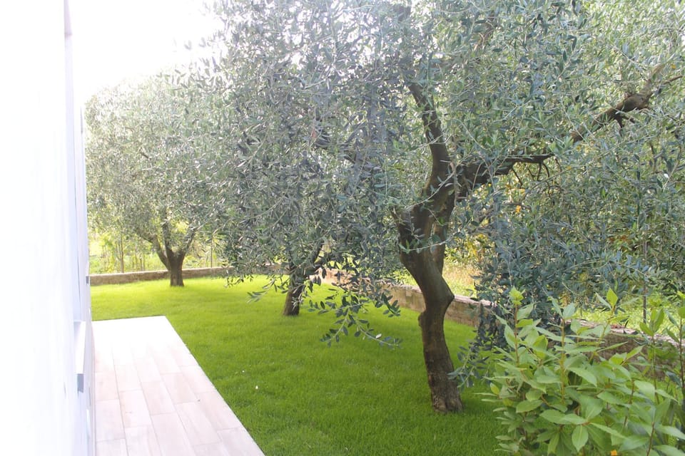 Garden, Garden view