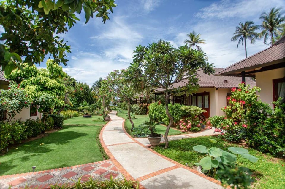 Property building, Garden view